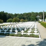 Rzędy białych krzyży na Cmentarzu Wojennym w Siekierkach (Starych Łysogórkach)