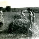 AS01_38 Braliśmy udział w pracach społecznych np. w żniwach